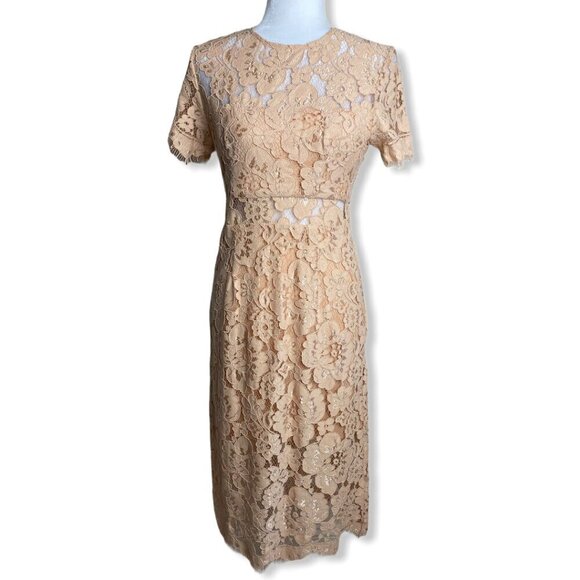 NSR Lace Short Sleeve Sheath Midi Dress in Beige Womens Sz Small $115 - Picture 1 of 7